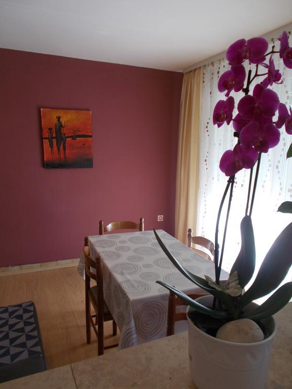 Apartments Sara Labin  Buitenkant foto
